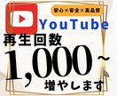 YouTubeの再生回数1,000増やします あなたのYouTuber人生の背中を押します イメージ1