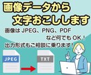 紙、PDF、画像から文字おこしします 画像データ、PDFから文字を取り出し、使えるようにします。 イメージ1