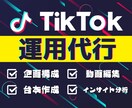 TikTok運用代行/実績のアカウント名書いてます TikTok初心者でも安心してお任せ下さい！ イメージ1