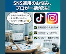 法人運営｜Instagram戦略設計から代行します Instagram対応／LINE構築セット割で一貫サポート イメージ2