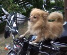 心の叫び聞きます 愚痴、自慢、どうにもならない不安や思いを抱えている人へ イメージ3