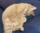 人生を豊かにメイキングするコーチングをいたします 夢叶えるけいこのコーチングあなたの人生を豊かにします。 イメージ1