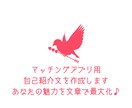 マッチング用プロフィール作成します 魅力が伝わる自己紹介を代筆します！ イメージ1