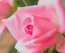 病院や薬に頼らず健康になる方法お教え致します 自然にも環境にも優しく、どなたにでも簡単にできます。 イメージ8