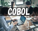 COBOLサポートします COBOL・JCLなどでお困りの事お助けします イメージ1