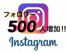 あなたのInstagramフォロワー増加させます 500人増加するまでやり続けます‼︎保証有 イメージ1