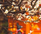 神鏡秘占｜心奥を映す光であの人の真実を照らします 神鏡へ魂を同調させ、言葉の裏に隠された感情を明らかに イメージ6