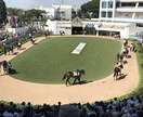 馬券大学、2013年4月開講、馬券予想してます JRAの思惑、馬主の意向、馬の状態、厩舎、騎手の起用より予想 イメージ1