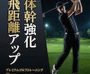 ゴルフパフォーマンスが上がる筋トレを指導します 家トレで差をつけませんか？ゴルフのためのオンライン筋トレ イメージ4
