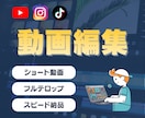 伝わるナレーション付き動画を制作します 舞台経験を活かした表現力豊かな声と動画編集をセットで！ イメージ1
