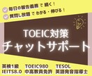 1週間チャットでTOEICの学習をサポートします いつかじゃなくて今日から！講師が毎日サポートするから続く！ イメージ1