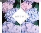 写真の「惜しい」を整えます｜レタッチ・加工します 「雰囲気はいいのに、汚れや暗さが気になる…」などお悩みですか イメージ5