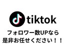 TikTokのフォロワー1000人増やします ✨2000人〜のプランもあります✨保証あり✨ イメージ2