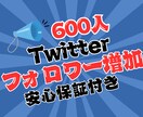 Twitterフォロワー600人以上増加します 5月までキャンペーン中！日本語、韓国語、中国語アカウント！ イメージ1