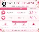 業界初！SNS運用をポイント制支援します Instagram、X等～30日間自由に使えるSNS支援 イメージ6