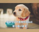 否定も拒絶もせず✨あなたに寄り添いお話聞きます 繊細さん(HSP)の私が、あなたのお話を真剣に聞きます イメージ3