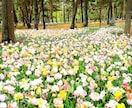 生きづらさからの解放⭐︎四柱推命鑑定もします 生きづらさの原因を一緒に見つけていきましょう⭐︎ イメージ7