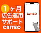 Criteo広告1ヵ月運用代行します 広告代理店出身者⭐︎1ヶ月間サポート付き イメージ1