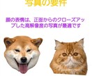 写真から作るフィギュア｜愛犬・愛猫似顔人形ます オーダーメイド 犬・猫そっくり 肖像画 うちの子 置物 イメージ9