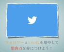 Twitterフォロワーの増やし方教えます フォロワー1万人超えアカウント所持者が教える集客術 イメージ1