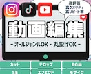 柔軟対応＊SNS動画承ります インスタ/TikTok/YouTubeショート完全対応！ イメージ1