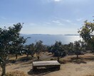 鳥取で雰囲気のある写真を撮影します 海や山など自然な場所を撮影します。撮影枚数無制限です。 イメージ1