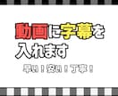 動画にフルテロップ/字幕入れ承ります 丁寧！字幕のタイミングもばっちり！ イメージ1