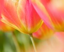 癒しの傾聴　子育てや結婚生活の悩み　解決に導きます お子様.パートナー.義理父母との関係にお悩みのあなたへ イメージ4