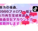 HIPHOP楽曲を万バズTiktok垢で宣伝します 全世界へ最安値で発信！夢を掴みませんか？✨ イメージ1