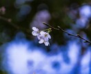 努力してるのに実らない、貴方のお悩みお伺いします 恋愛、友人関係、ビジネス、限定価格ワンコインで霊視します イメージ2