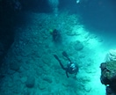沖縄の水中写真を提供します イメージ写真等に使用してみてはいかがでしょうか イメージ6