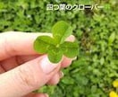 なーんでもお話聞きます 愚痴、恋愛相談、育児相談、人間関係なんでもどうぞ！ イメージ1
