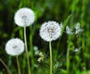 心のもやもやはここで晴らして◎まるっと受け止めます 今の気持ちをすっきり吐き出してくださいね イメージ6