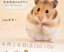 非AI・SNS広告画像・キャンペーン画像制作します Instagram投稿・広告に使える画像を制作します イメージ1