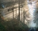 高位精霊の祝福で魂を清め、波動と運気を上昇させます 【唯一無二の術式】あなたに合わせた術式構築で停滞を切り開く。 イメージ7