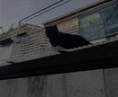 最短翌日納品でミックス/マスタリングをします 現役プロによる品質保証。最短受注日の翌日に納品可能です。 イメージ1