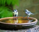 一日の振り返り、アウトプットの相手になります 一日の整理のアウトプットに！関西人の僕がお相手致します イメージ2
