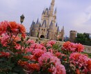 東京ディズニーランド、シーの攻略術教えます 年間パスポートを持っているディズニーファンが教えます。 イメージ3