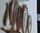 投げ釣りのキャスティングのアドバイスします 目指せ8色超え！ 飛距離向上して釣果を伸ばそう イメージ2