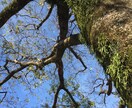 プロのカウンセラーが何でもお聴きします こんなこと話していいのかな？何でも大丈夫です！^ ^ イメージ1