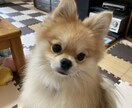 仕事の失敗、愚痴、悩みを普通の会社員がお聞きします 誰にでも失敗はある　人に話して次に進もう イメージ1