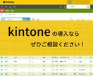 kintone初期導入支援をいたします サイボウズ・キントーンで社内の業務改善を始めましょう！ イメージ1