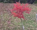 悩み事、愚痴、恋愛の話し聞きます 僕に話して下さい、きっと心が軽くなりますよ！ イメージ1