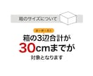 色違いやサイズ違いのパッケージデザインします ガジェット・家電・インテリア雑貨に対応／バリエーション4箱 イメージ4