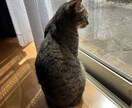 過去に病院に行くほど鬱になっています 今辛いひと、苦しい人、いつでも相談してください。 イメージ2
