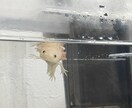 ３日ですよ〜！クズ男も一緒！ご相談待ってます 学校行けません。仕事も行けません。救われた一人でした。 イメージ1