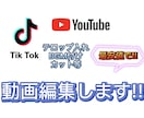 TikTok・YouTubeの動画編集代行します 気軽にご注文していただける安さが売りです!! イメージ1