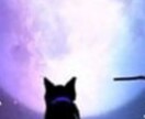 死にたい、消えたいと思ってる方お話し聴きます 一人で悩まずなんでも話してください。否定・批判しません。 イメージ1