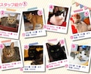 お店用猫紹介一覧チラシ作成します 保護猫団体で選ばれ使われているチラシです イメージ2