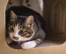 モヤモヤ。誰かに相談したいとき。お話相手になります １分から。どんなお話でも大丈夫です。 イメージ4